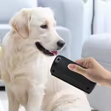 Neckcomfy™ Evcil Hayvan Tüy Dökülmesine Karşı 1 Numaralı Çözüm